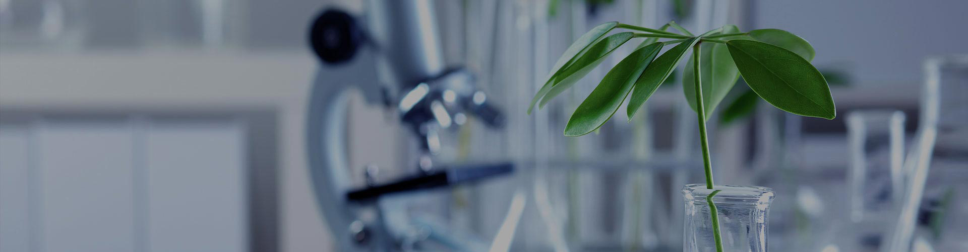 創新前沿生命科技，服務人類健康。